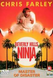 Beverly Hills Ninja