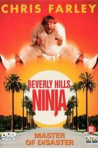 Beverly Hills Ninja - Poster