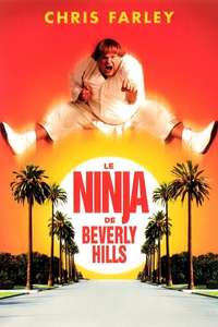 Beverly Hills Ninja - Poster