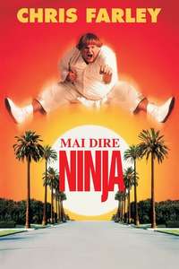 Beverly Hills Ninja - Poster