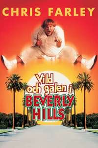 Beverly Hills Ninja - Poster