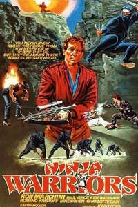 Ninja Warriors - Poster