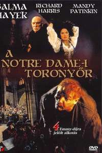 The Hunchback - Poster