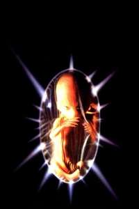 The Unborn - Poster