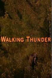 Walking Thunder