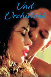 Wild Orchid - Poster
