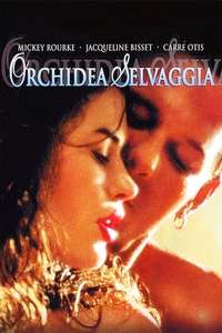 Wild Orchid - Poster
