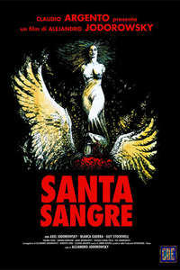 Santa Sangre - Poster