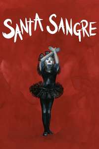 Santa Sangre - Poster