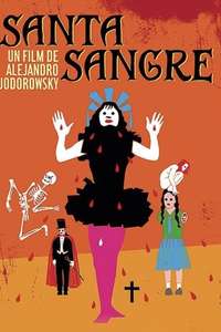 Santa Sangre - Poster