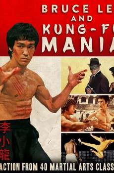 Bruce Lee and Kung Fu Mania