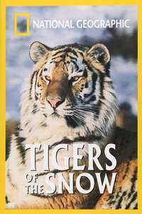 Tigers of the Snow - Poster