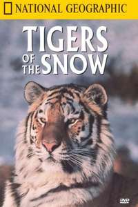 Tigers of the Snow - Poster