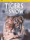 Tigers of the Snow