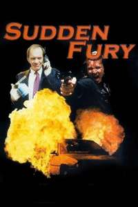 Sudden Fury - Poster