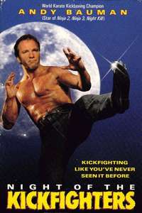 Night of the Kickfighters - Poster