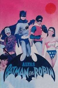 Alias Batman and Robin - Poster