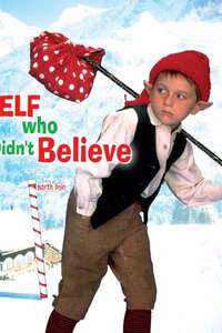 The Elf Who Didn't Believe - Poster