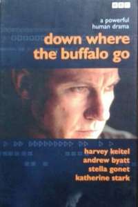 Down Where The Buffalo Go - Poster