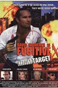 Fugitive X: Innocent Target - Poster