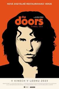 The Doors - Poster