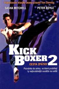 Kickboxer 2:  The Road Back - Poster