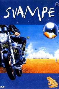 Svampe - Poster