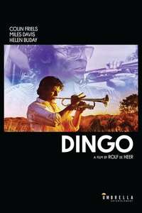 Dingo - Poster