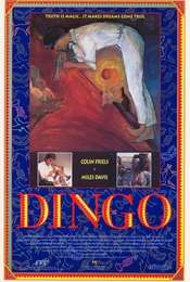Dingo