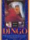 Dingo