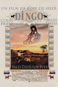Dingo - Poster