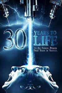 30 Years to Life - Poster