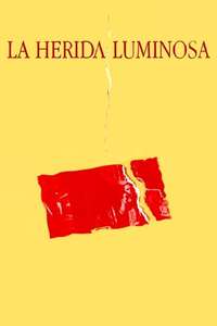 La herida luminosa - Poster