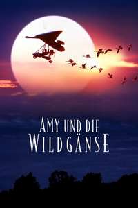 Fly Away Home - Poster