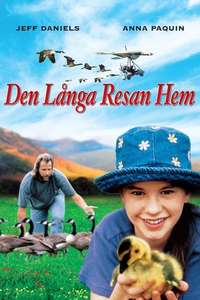Fly Away Home - Poster