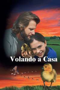 Fly Away Home - Poster
