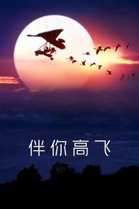 Fly Away Home - Poster