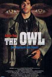 The Owl