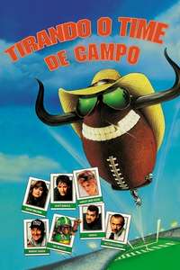 Necessary Roughness - Poster