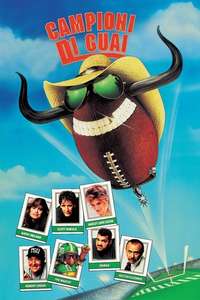 Necessary Roughness - Poster