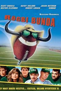 Necessary Roughness - Poster