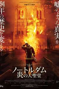 Notre-Dame on Fire - Poster