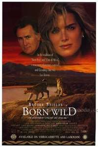 Born Wild - Poster