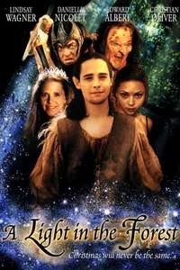 A light in the forest - Poster