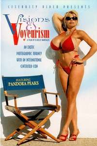 Visions and Voyeurism - Poster