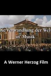 The Transformation of the World Into Music