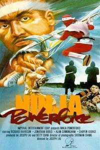 Ninja Powerforce - Poster