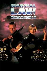 Martial Law II: Undercover - Poster