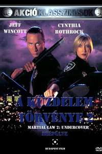 Martial Law II: Undercover - Poster