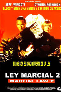 Martial Law II: Undercover - Poster
